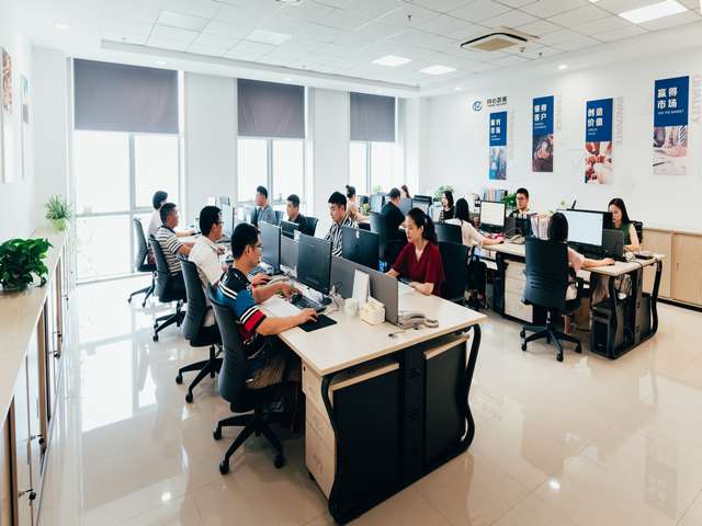 相城区城市藤编树叶